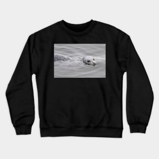 Cheeky Harbor Seal Winks at the Photographer Crewneck Sweatshirt